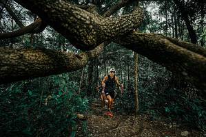 BIB: 
                            <button type="button" onclick="openModal(25708539)" class="btn btn-primary btn-sm float-right btn-popup" data-toggle="modal" data-target=".modal-high-quality">
                        <i class="fas fa-shopping-cart"></i> Add to Cart
                    </button>
                                            <button type="button" onclick="isThisMe(25708539, true)" class="btn btn-success btn-sm float-right btn-popup btn-isme hidden" data-toggle="tooltip" data-placement="bottom" title="นี่คือรูปของคุณใช่ไหม คลิกที่นี่เพื่อเอาเข้าอัลบั้ม">
                        <i class="fas fa-plus"></i> Add to album
                    </button>
                    <button type="button" onclick="isThisMe(25708539, false)" class="btn btn-warning btn-sm float-right btn-popup btn-isnotme hidden">
                        <i class="fas fa-ban"></i> Remove from album
                    </button>